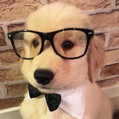 hujabial's profile picture. ALT where i posted if I get locked or banned main: @NateHug5513704 18 (dm me the word 'deer'