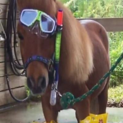 _aaabdallaaa_'s profile picture. oia oia