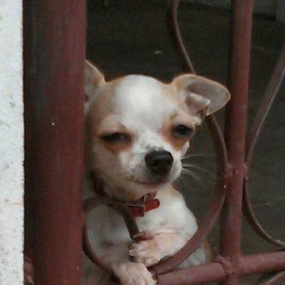 mymkxbas's profile picture. ᵒⁿᵉ ʷʰᵒ ⁱˢ ᵇᵒʳⁿ ʷⁱᵗʰ ʰᵃᵖᵖⁱⁿᵉˢˢ fan account | 𝗆𝖺𝗑𝗄𝗒_𝗋𝗉 𝖻𝖻𝖺𝗌𝗃𝗍𝗋 TLE_mtm firstone_wnk #แม็กกี้บาส #MaxkyBas #6CODE #TleFirstone