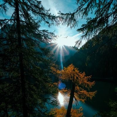 AnanBathija's profile picture. Hi !
I am Anan learning coding .
Sharing My Journey ||
Learn in public ||
linked in profile - https://t.co/DYrJRoMo0A