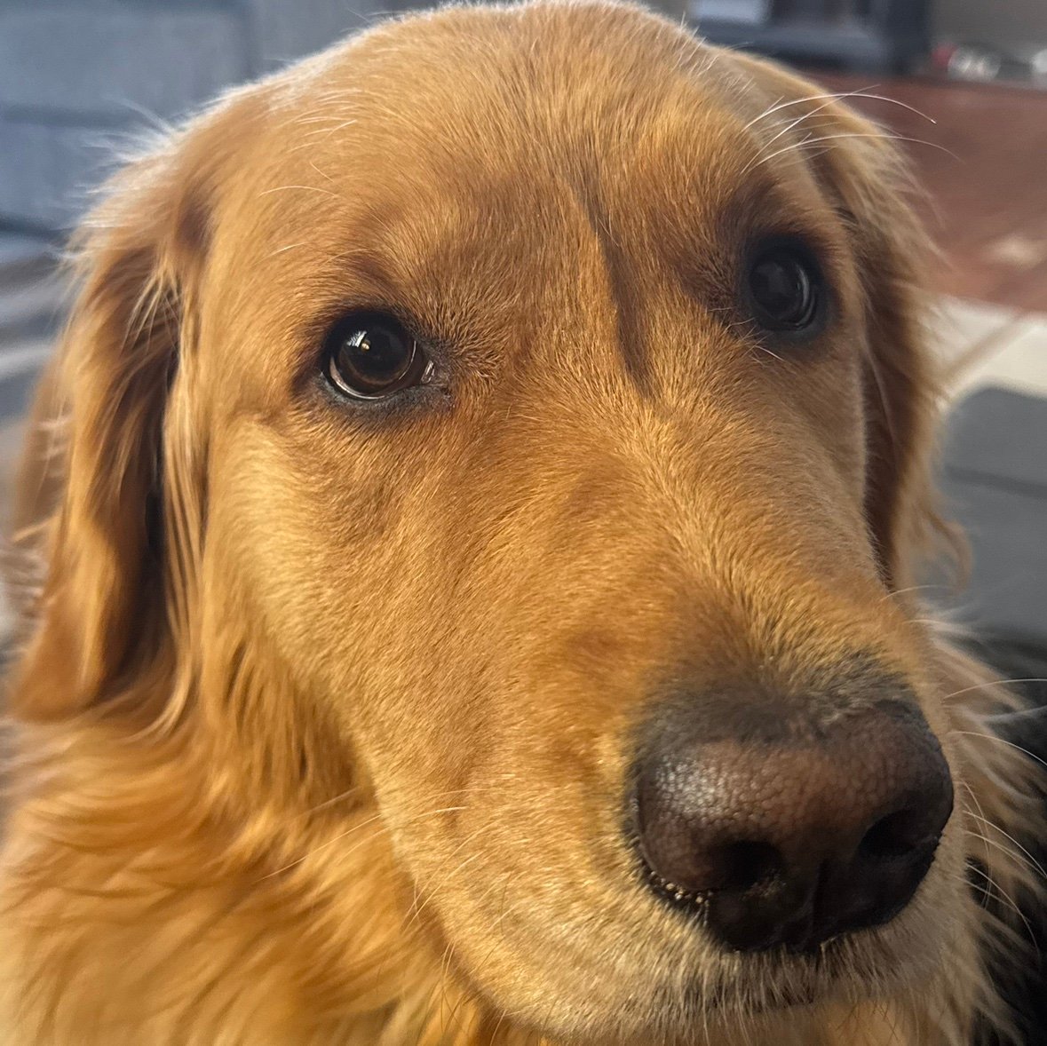 mrgroundhog_'s profile picture. 