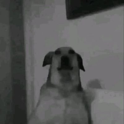 mosh70008's profile picture. نو اند نو نو تورتة نو جاتوه