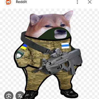 AnnaSam98's profile picture. Love Israel 🇮🇱 and Ukraine 🇺🇦