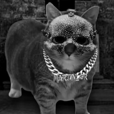 profswaggen's profile picture. 