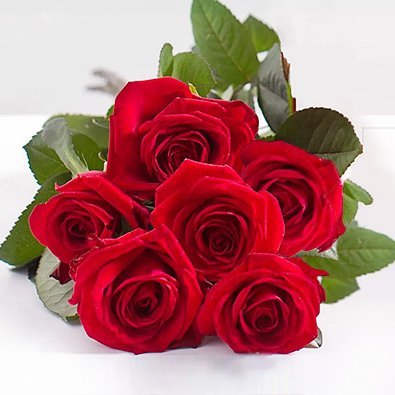 TARIQWAHEED566's profile picture. 