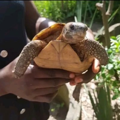 Sambou34's profile picture. God first