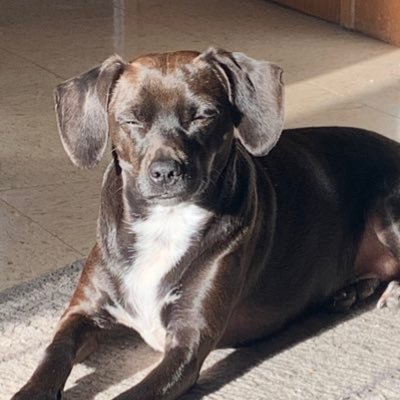 bradleyjbirnie's profile picture. Looking around, I learned nothing is as it seems, and a lot of people we trusted lied to us. for a long long long time! ✌️❤️💪🏻🇨🇦🍄🫎👁️