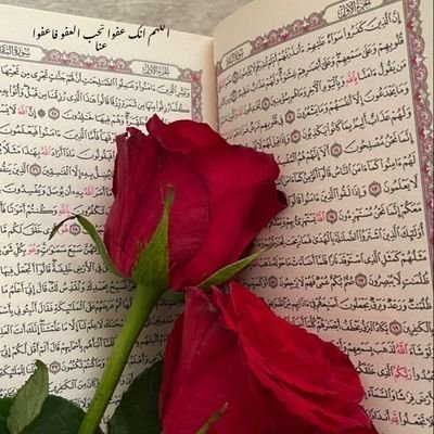 tsnym682597's profile picture. 