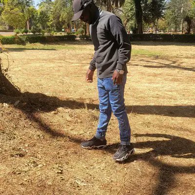 Tafadzwa336460's profile picture. Automotive Engineer