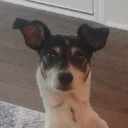 14th_Choice's profile picture. If you can't beat them, laugh at them.
No DMs please.