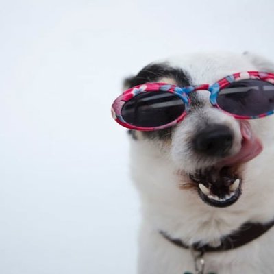 heidivan119338's profile picture. 