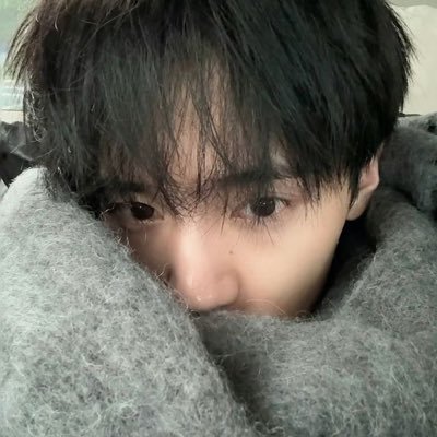 antonyaoi's profile picture. 