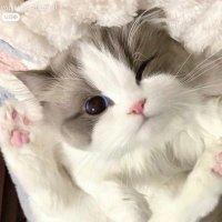 ち！ (@kmhnkmhny) 's Twitter Profile Photo