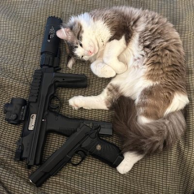 ls2isla's profile picture. 