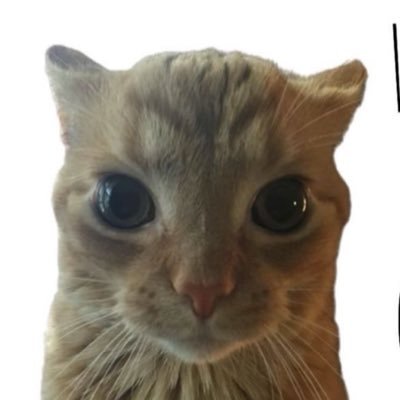 gawarmomina's profile picture. ranting