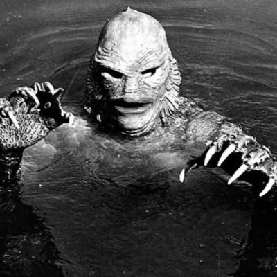 brassmonkiee's profile picture. ꨄ︎