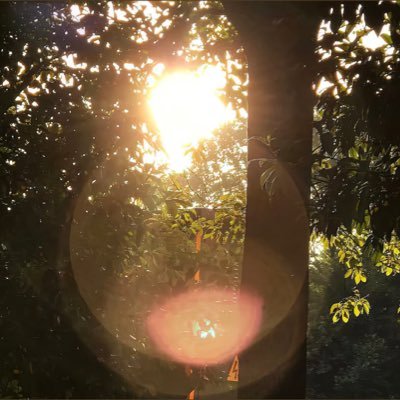LIALYSUMMER's profile picture. لقد زِدتُ بالناسِ والأيام خبرةً وجرَّبتُ حتى هذَّبتنِي التجَاربُ