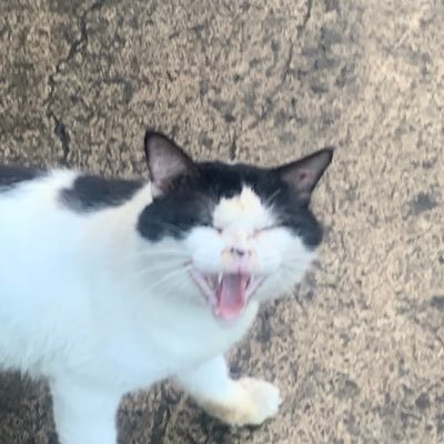 Holygraill___'s profile picture. 