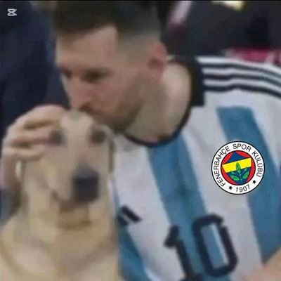 fenerlii_messi's profile picture. domaldo penaldo düşmanı