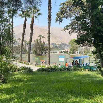 dng1389960's profile picture. 