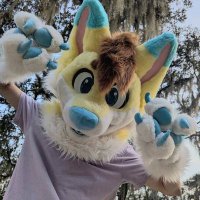 《NobuTheFox》 (@nobuthefurryfox) 's Twitter Profile
