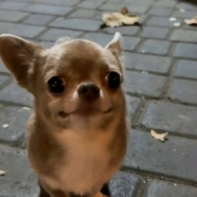 ryah03_'s profile picture. Hi I just Post Art