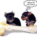 hope ramirez - @elmokilla121 - Twitter