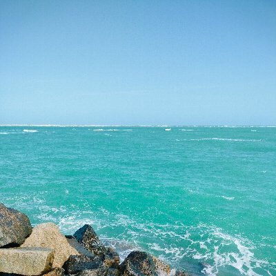 ankitkumar31710's profile picture.