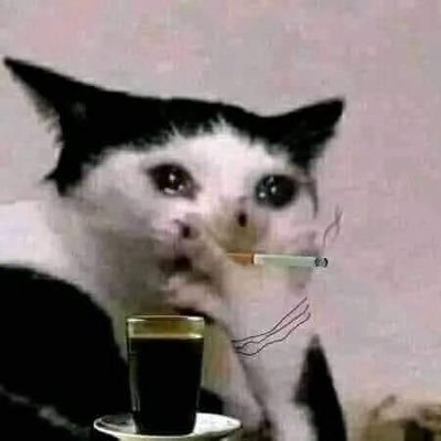 bazendeolmazz's profile picture. 