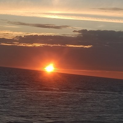 paulatina79737's profile picture. Gente cobrando el SMI y votando a quienes votan en contra de subirlo.., gente cobrando "paguitas"..., y votando en contra de quién se las está dando, ¿Hola?