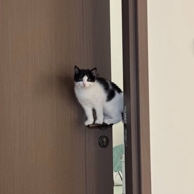 yananchuna's profile picture. 