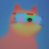kmoney_69's profile picture. attention gambler // @mogcoin @partyhatdao