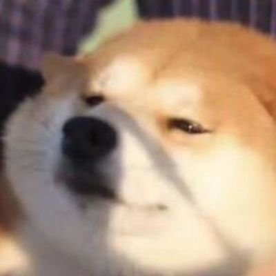 S2Vgx's profile picture. 顺势而为/多试错/不预测/关注任何高赔率/下重注