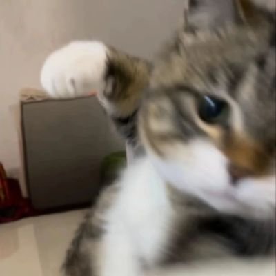 VolyanM's profile picture. j'ai pris des risques 
j'ai pris des rides