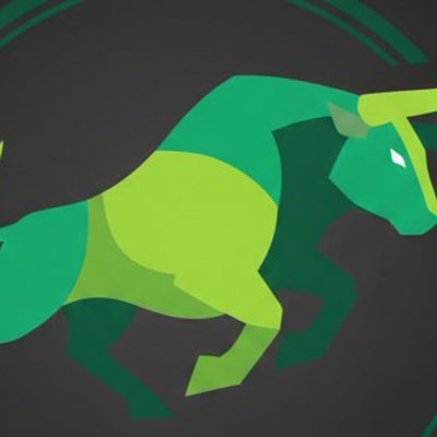 BULLRUNsChain's profile picture. The project to take your portfolio on a bullrun