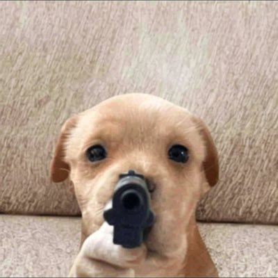 Pymdcrypto's profile picture. 