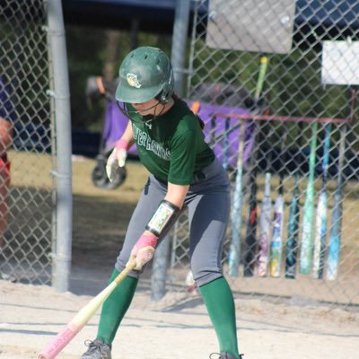 Sydney_Stepina's profile picture. MI/OF | 15u @SilverHawksball -Vigliotti | Batavia Highschool Varsity Softball | 2028 grad | GPA 4.25 @sydney.stepina4@gmail.com