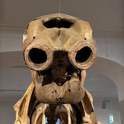 davidmuybueno's profile picture. tech. people. love