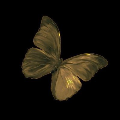 chiseiveramente's profile picture. 