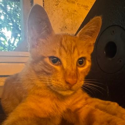 hungzhp10228230's profile picture. 