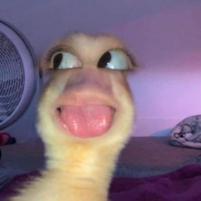 dmpsht_'s profile picture. 