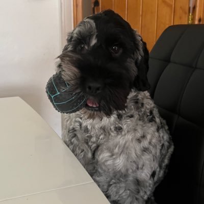 B1ank2259's profile picture. 