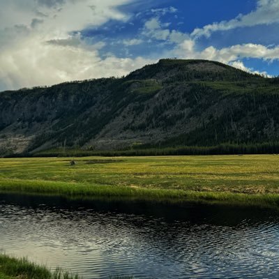 tennis_DPA's profile picture. Tennis and AI.