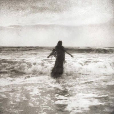 WilleundWelle's profile picture.