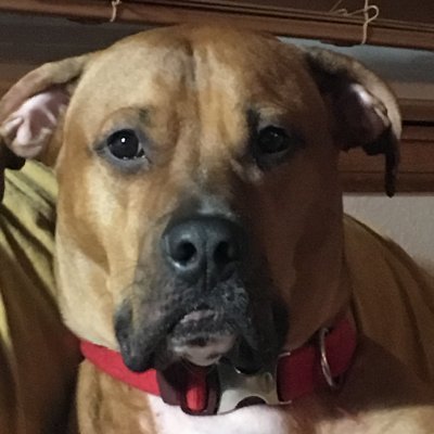JHsteeldriving's profile picture. 