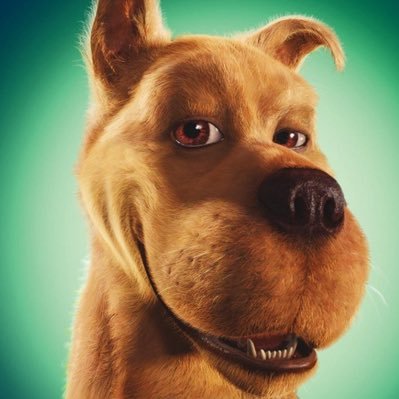 theSc00b's profile picture. It’s the Scoob | https://t.co/sm8B0EiWQV |