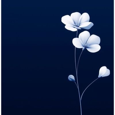 Jerrydebrain's profile picture. Give every man thy ear, few thy voice.