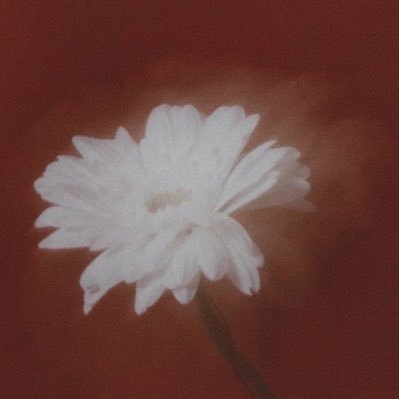 byangelac's profile picture. sometimes serious