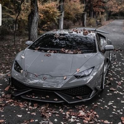 Mjrayh87's profile picture. 