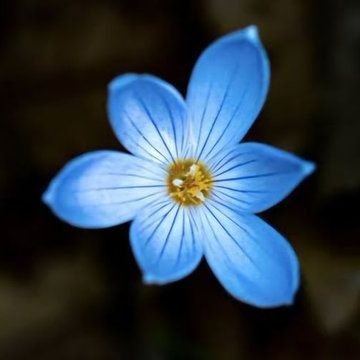 Takip_Xx's profile picture. 